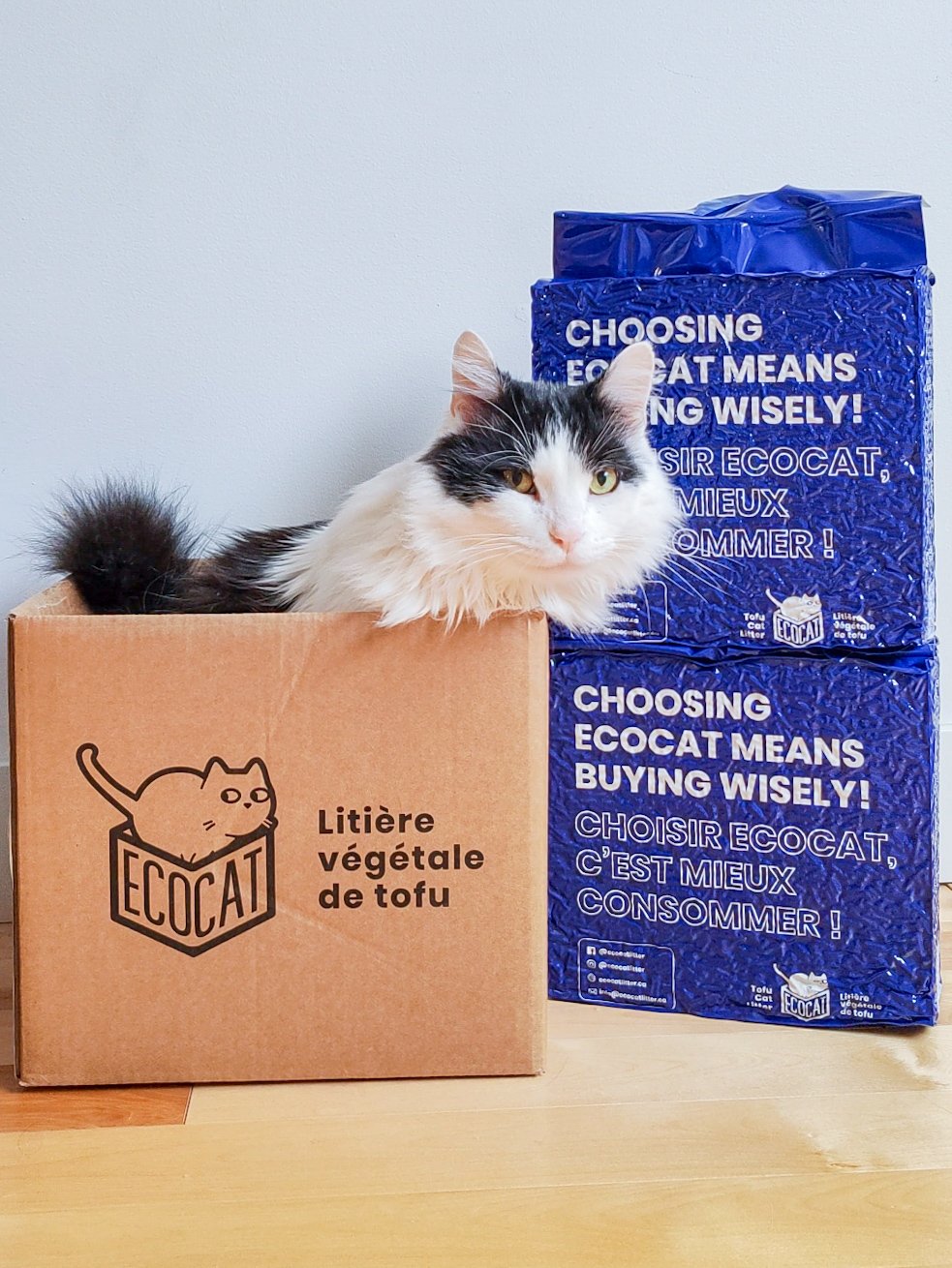 grominetxecocat