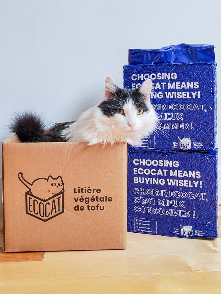 grominetxecocat